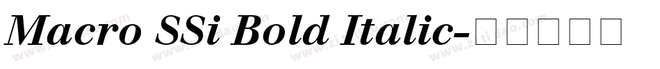 Macro SSi Bold Italic字体转换